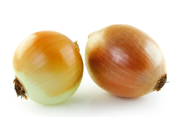 Cebolla madura sobre fondo blanco — Foto de Stock