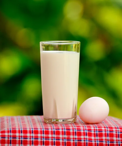 Glass of milk and egg on nature background — Stock Photo, Image
