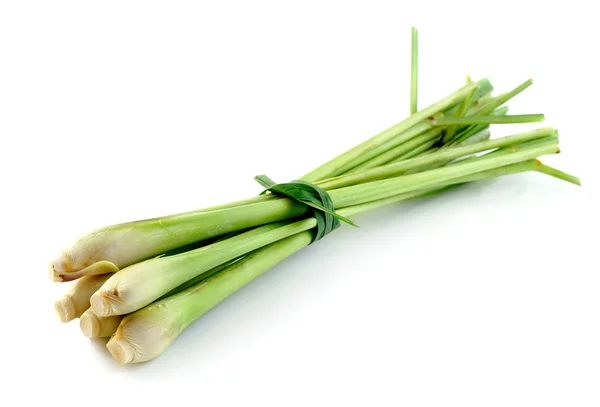 Lemon grass on white background — Stock Photo, Image