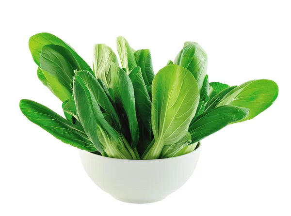 Bok choy in the bowl isolated on white background — Stock Photo, Image
