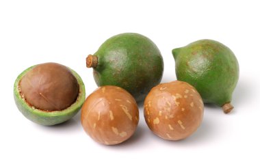 Beyaz arka planda Macadamia fındıkları