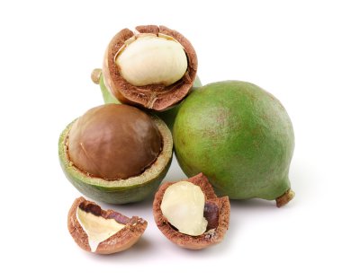 Beyaz arka planda Macadamia fındıkları