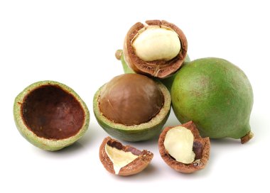 Beyaz arka planda Macadamia fındıkları