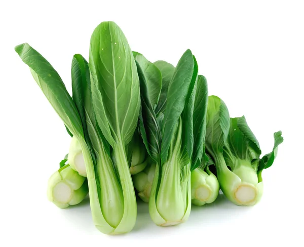 Bok choy (kínai káposzta) elszigetelt fehér alapon — Stock Fotó