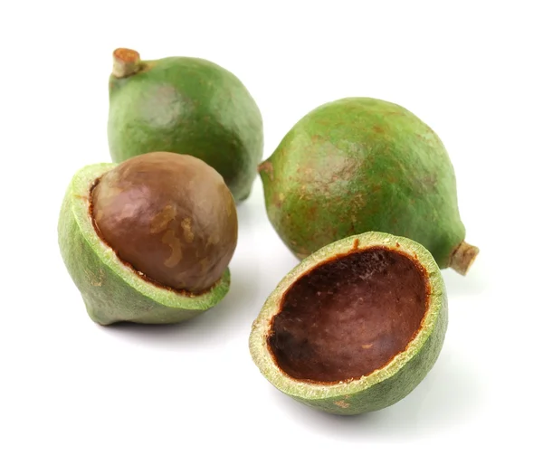 Macadamia nuts on white background — Stock Photo, Image