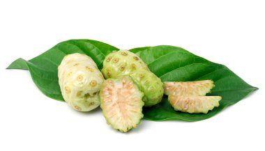 egzotik meyve - noni yaprak beyaz zemin üzerine