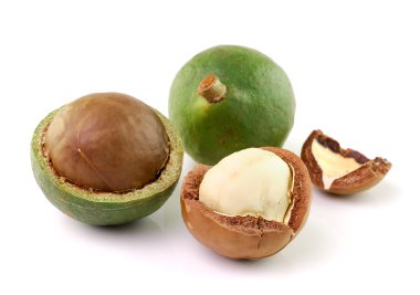 Beyaz arka planda Macadamia fındıkları