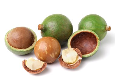 Beyaz arka planda Macadamia fındıkları