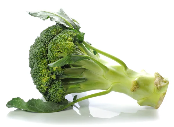 Färsk broccoli — Stockfoto