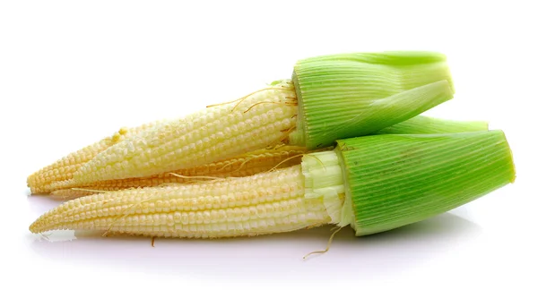 Młoda kukurydza — Zdjęcie stockowe