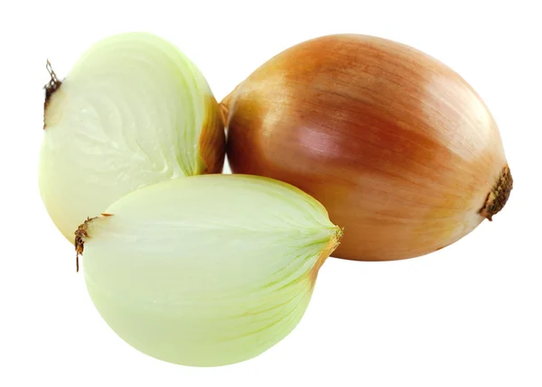 Ripe onion on a white background — Stock Photo, Image