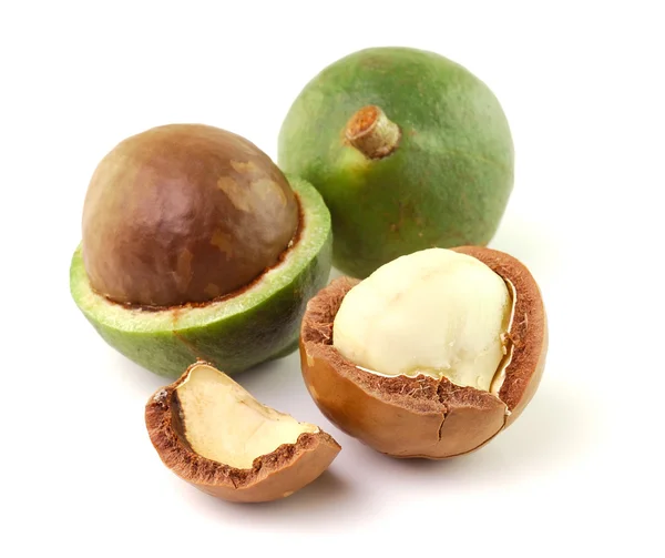 Macadamia-Nüsse auf weißem Hintergrund — Stockfoto