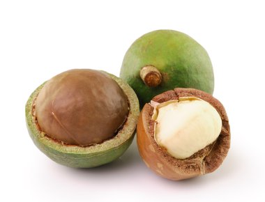 Beyaz arka planda Macadamia fındıkları