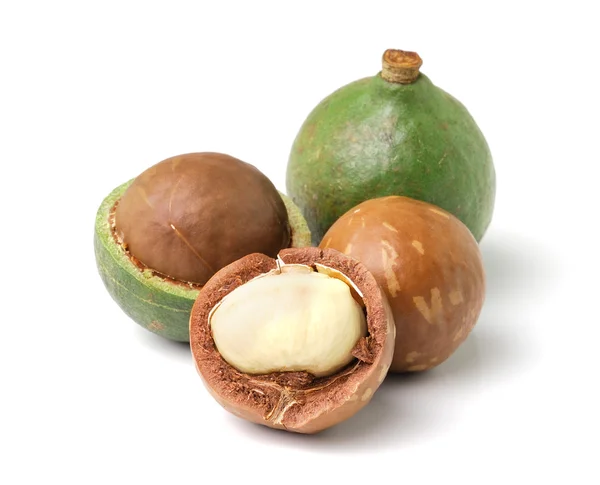 Καρύδια Macadamia σε λευκό φόντο — Φωτογραφία Αρχείου