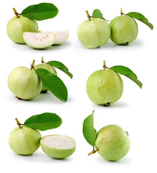 Guava (tropisk frukt) på vit bakgrund — Stockfoto