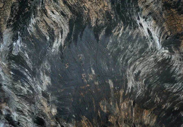 Старі чорно деревини текстуру (для фону) — Stock Fotó
