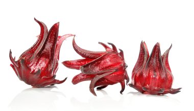 Hibiscus sabdariffa veya roselle meyve