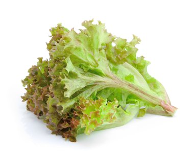 Taze yeşil marul yaprakları beyaza izole edilmiş.