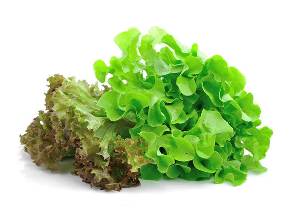 Frische grüne Salatblätter isoliert auf weiß — Stockfoto