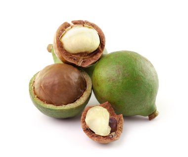 Beyaz arka planda Macadamia fındıkları