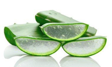 Aloe vera taze yaprak. beyaz üzerinde izole