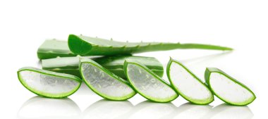 Aloe vera taze yaprak. beyaz üzerinde izole