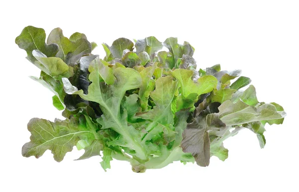 Hojas de lechuga verde fresca aisladas sobre blanco — Foto de Stock