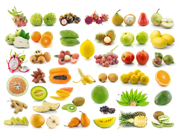 Samling av frukter — Stockfoto