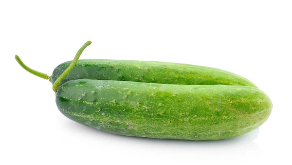 Fresh cucumber slice isolated on white background — Stock Photo, Image