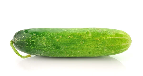 Fresh cucumber slice isolated on white background — Stock Photo, Image