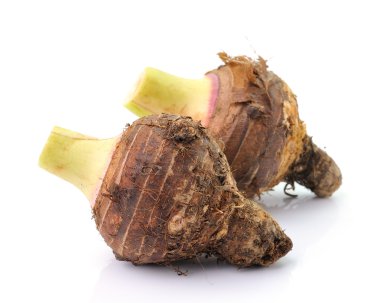 taro kökleri beyaz üzerine