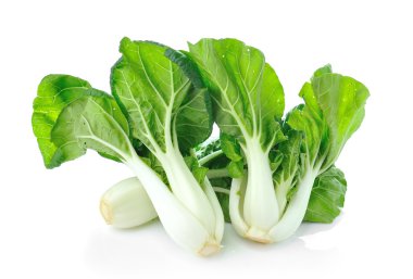 Pok Choi