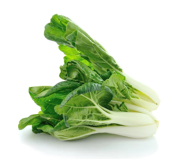 Pok Choi — Foto Stock