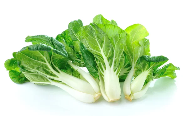 Pok Choi vegetable — Stock Photo, Image