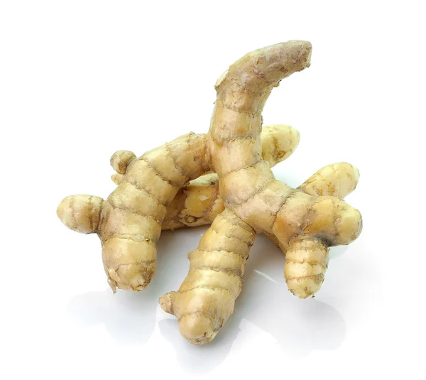 Curcuma bianca — Foto Stock