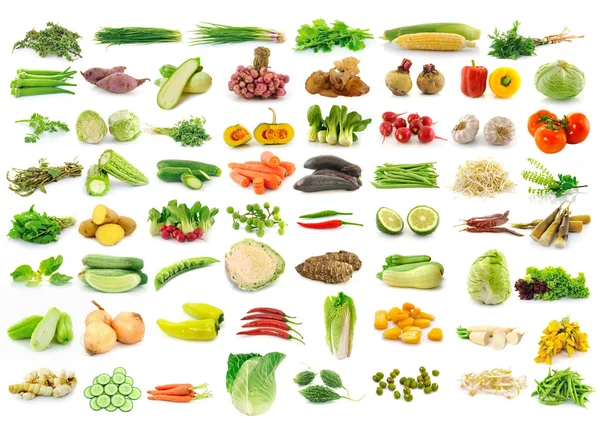 Vegetable collection — Stock Photo, Image