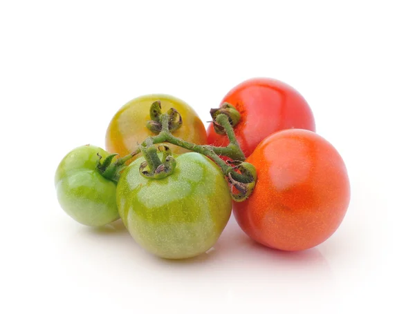 Tomaten — Stockfoto