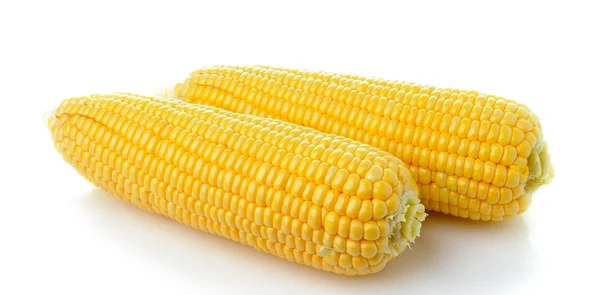 Corn — Stock Photo, Image