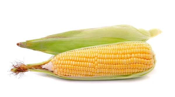 Corn — Stock Photo, Image