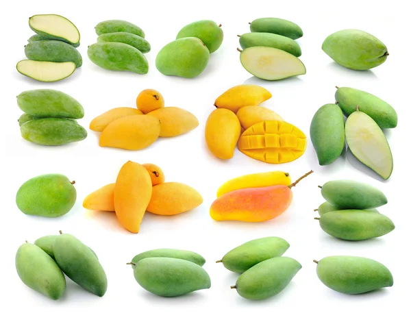 Mango collection — Stock Photo, Image