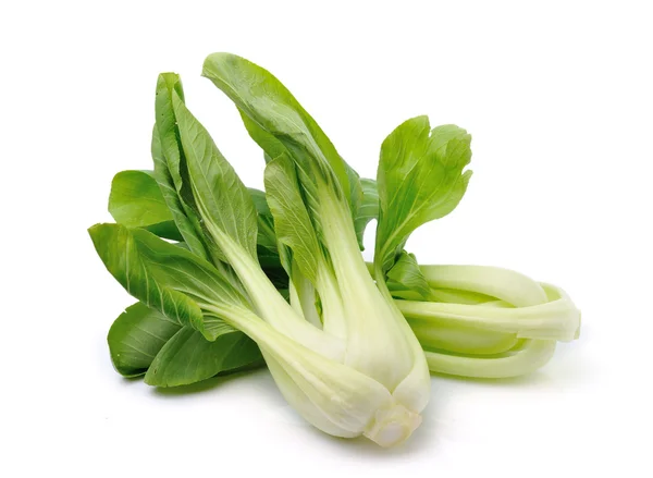 Bok choy — Stock fotografie