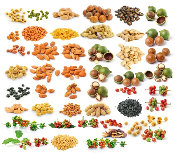 Nuts set — Stock Photo, Image