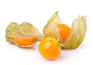 taze physalis