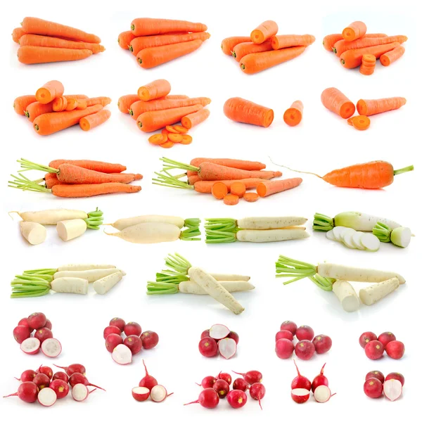 Zanahoria, rábano — Foto de Stock