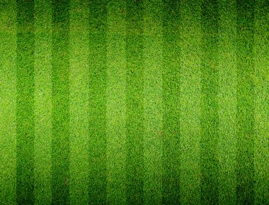 futbol futbol çim sahası