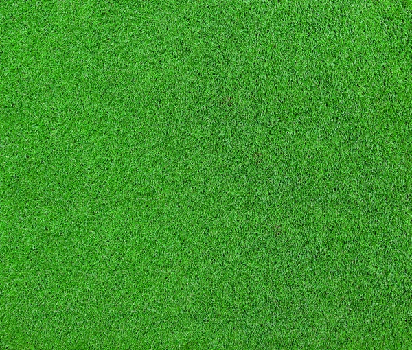 Green grass background texture — Stock Photo, Image