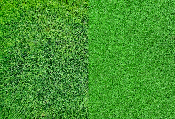 Green grass background texture — Stock Photo, Image