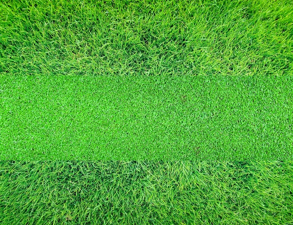 Green grass background texture — Stock Photo, Image