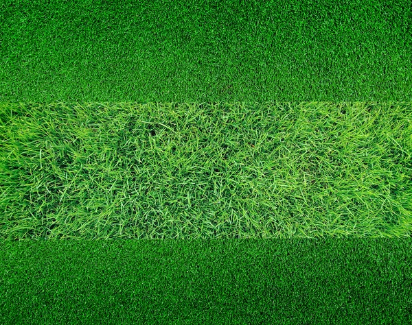 Zielona trawa tło tekstury — Zdjęcie stockowe