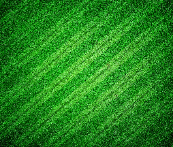 Green grass lined football or soccer field — Stock Photo, Image